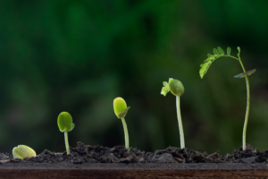 The Role of Continuous Learning in Sustainable Organisational Growth